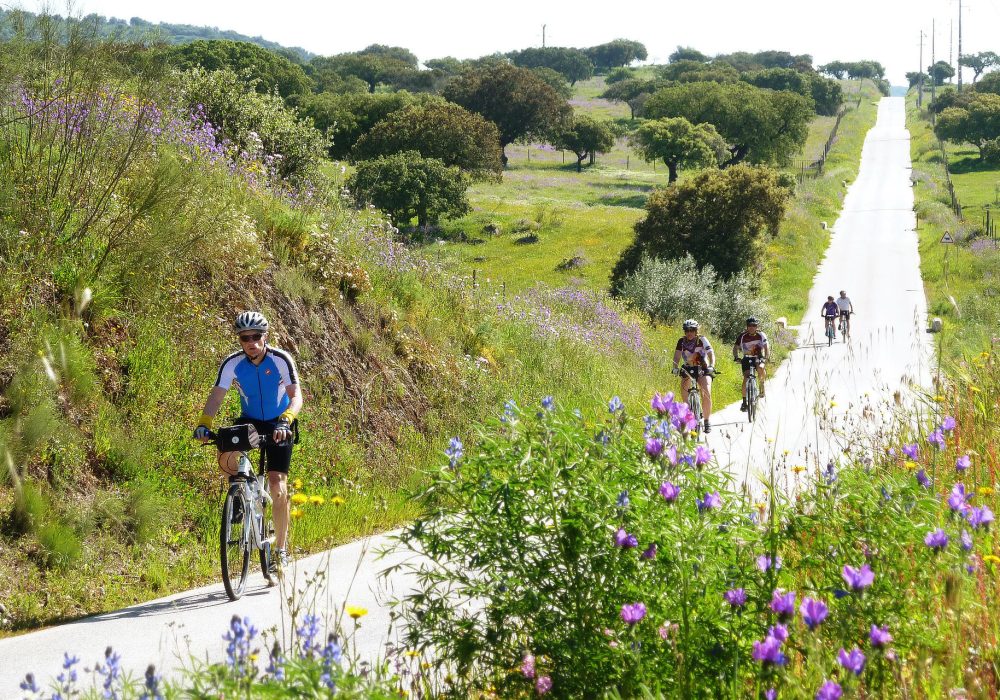 cycling1 (2)